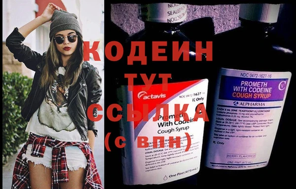 амф Арсеньев