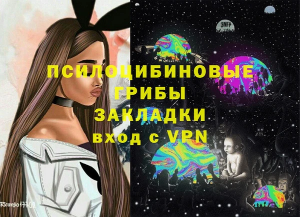 стафф Аркадак