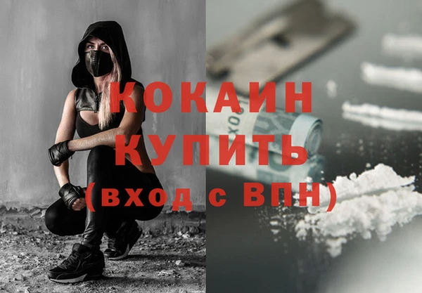 стафф Аркадак