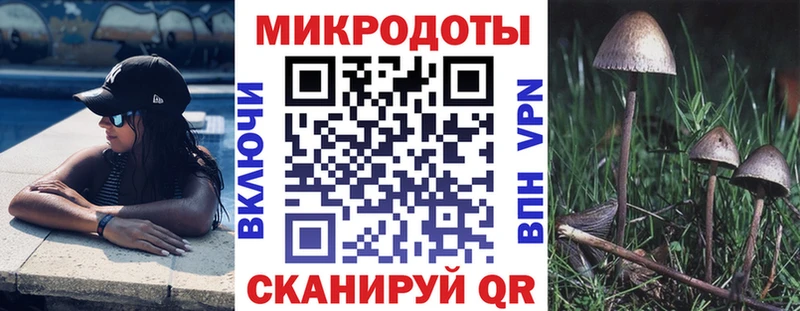Галлюциногенные грибы Magic Shrooms  цена наркотик  Макушино 